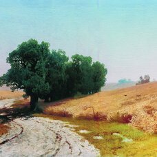 Rye Fields
