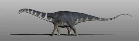 paleontologyworld.com sitesinden görsel