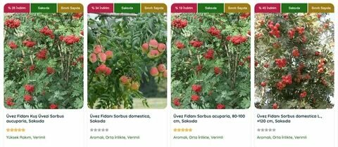 fidanistanbul.com sitesinden görsel
