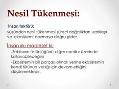 slideplayer.biz.tr sitesinden görsel