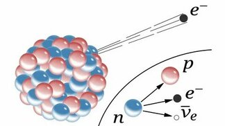 evrimagaci.org sitesinden görsel