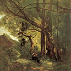 Woodland glade