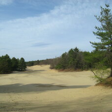 Desert of Maine