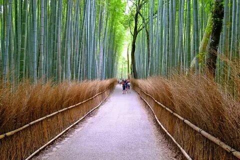 tripadvisor.com.ph sitesinden görsel