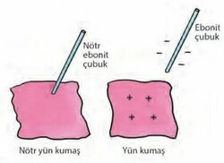 fenkurdu.gen.tr sitesinden görsel
