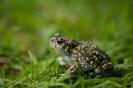 istockphoto.com sitesinden görsel