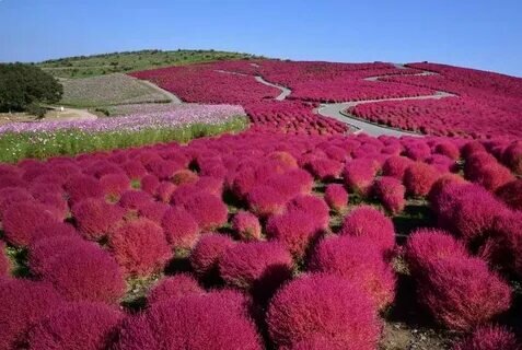 za.pinterest.com sitesinden görsel