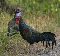 tr.pinterest.com sitesinden görsel