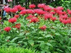 Изображение с сайта pinterest.com