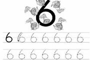 6 (sayı)