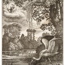 The Frogs Who Desired a King