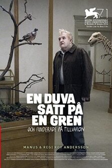 İnsanları Seyreden Güvercin