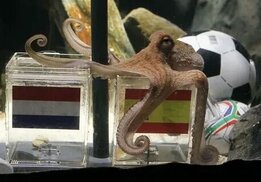 internethaber.com sitesinden görsel
