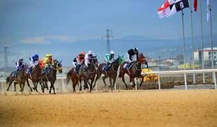 berkaykurt.com.tr sitesinden görsel