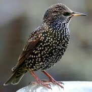 tr.pinterest.com sitesinden görsel