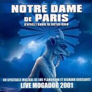 notre-dame-de-paris.fandom.com sitesinden görsel
