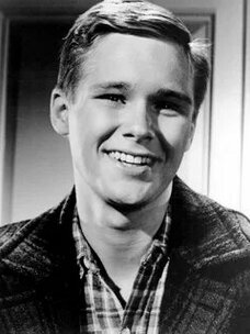 Brandon De-Wilde