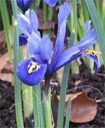 jp.pinterest.com sitesinden görsel