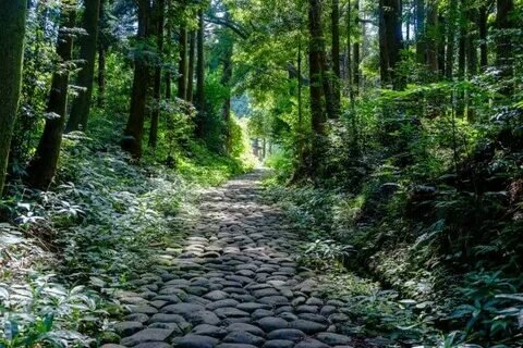 japancheapo.com sitesinden görsel