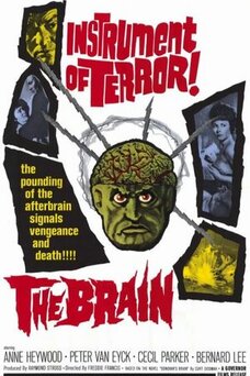 The Brain