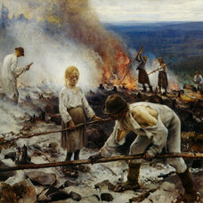 Burning the Brushwood
