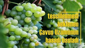 karabukgundem.com sitesinden görsel