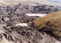 m.wikidata.org sitesinden görsel