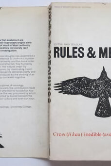 Rules and Meanings