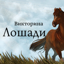 Викторина Лошади