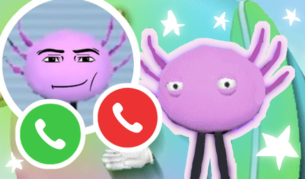 Загляни в телефон Кинитопета!