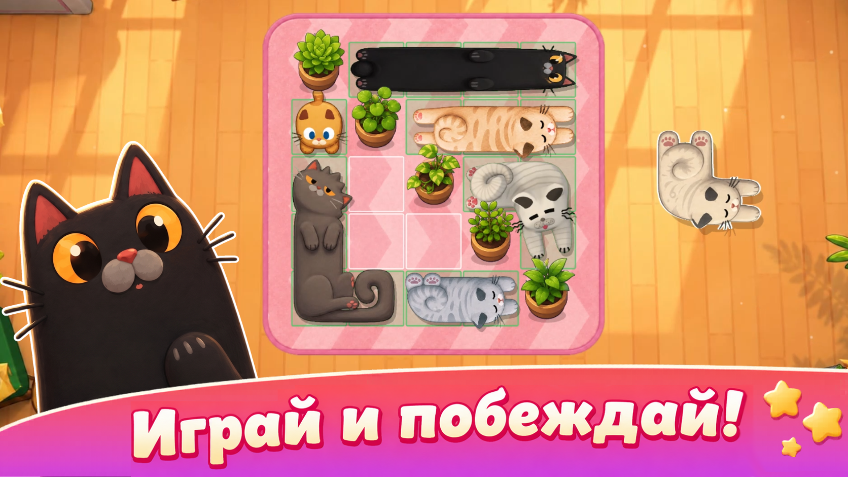 Котомино: пазл с котиками