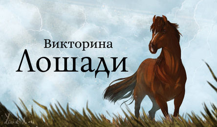 Викторина Лошади