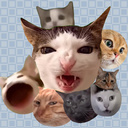 Merger - Meme Cats