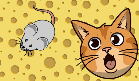 Мышка для кота и кошки