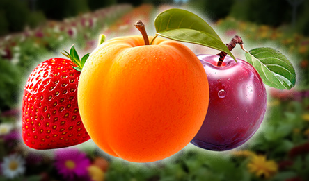 Сажай Овощи: 2048!