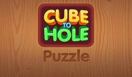 Cube to Hole Puzzle