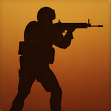 CS Aim and Polygon