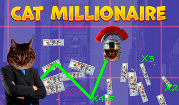 Cat Millionaire