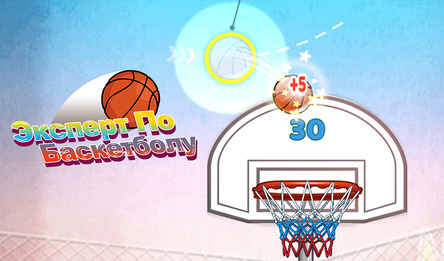 Эксперт По Баскетболу