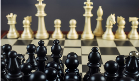 Шахматы орда