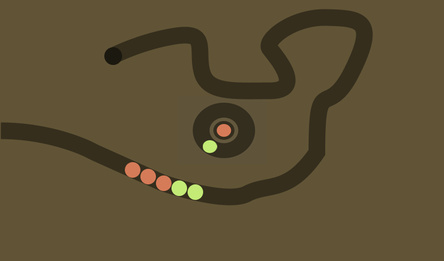 Настоящий Зума