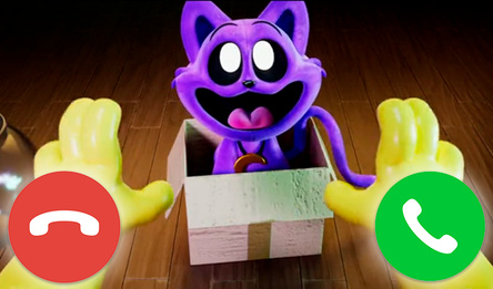 Позвони Кэт Нэпу 2048