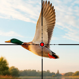 Wild Hunt: Find Animals