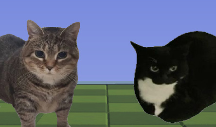 Мемные Шашки