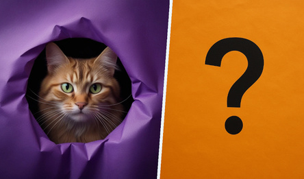 Магия Пазлов