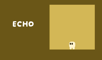 Echo