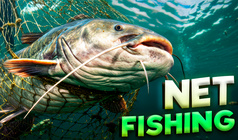 Net Fishing