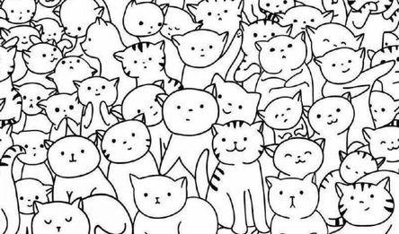 Тралала: Пропавшие коты