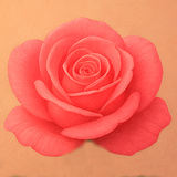 Flower Union