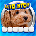 Угадай Слово по Картинке